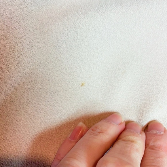 R&M Richards Karen Kwong rose chiffon beaded grandmother of the bride dress 8P - Picture 15 of 16